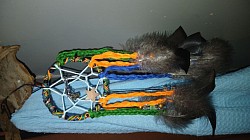 Example